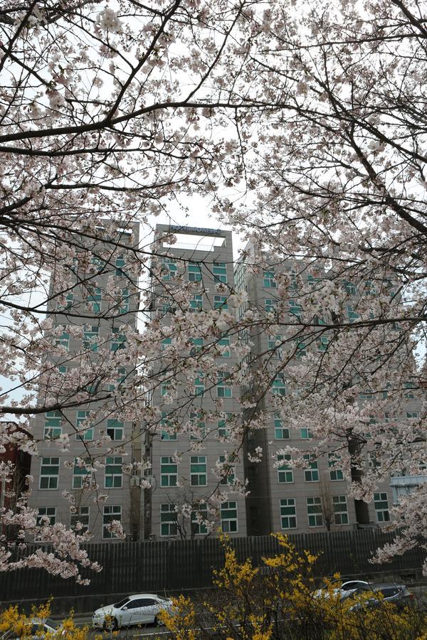 Hotel Joker Seoul Bagian luar foto